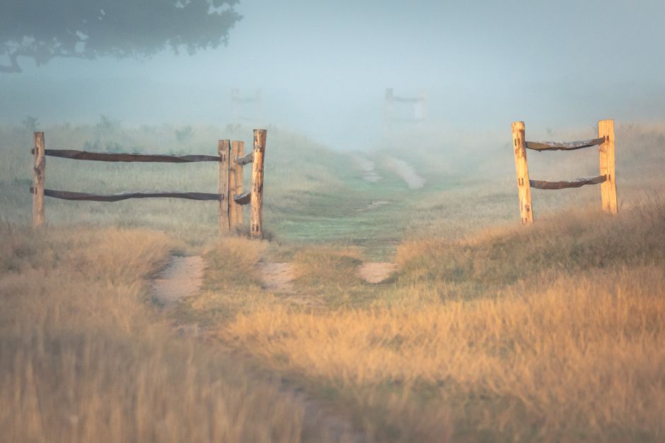 UK rural landscape foggy morning sunrise