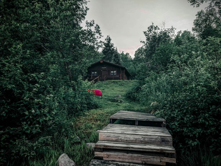 creepy summer camp cabin night forest