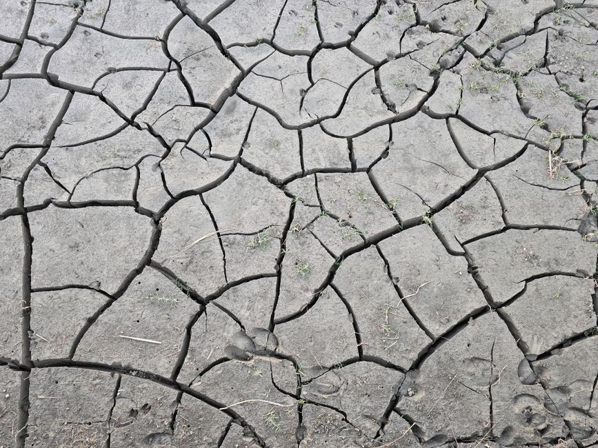 dry cracked earth drought climate change