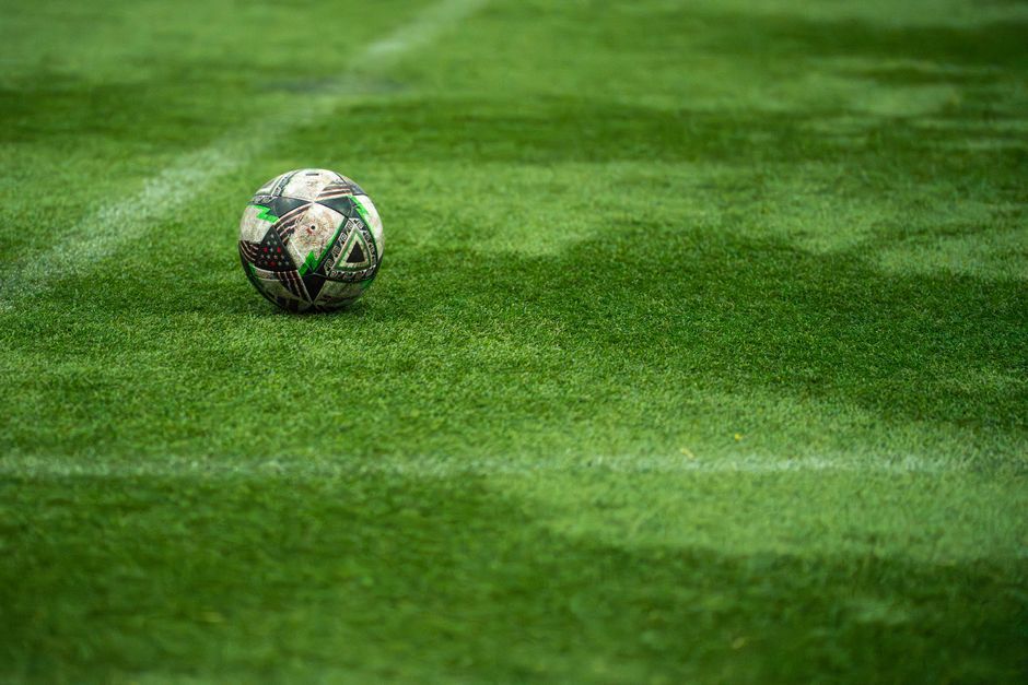 soccer stadium pitch grass close up