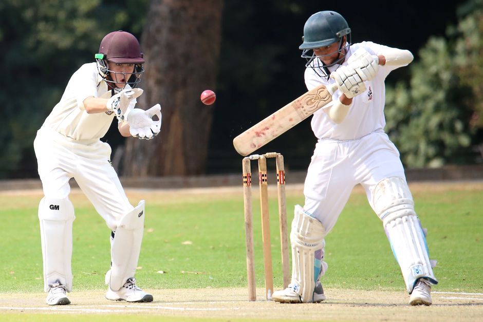 cricket bat ball pitch