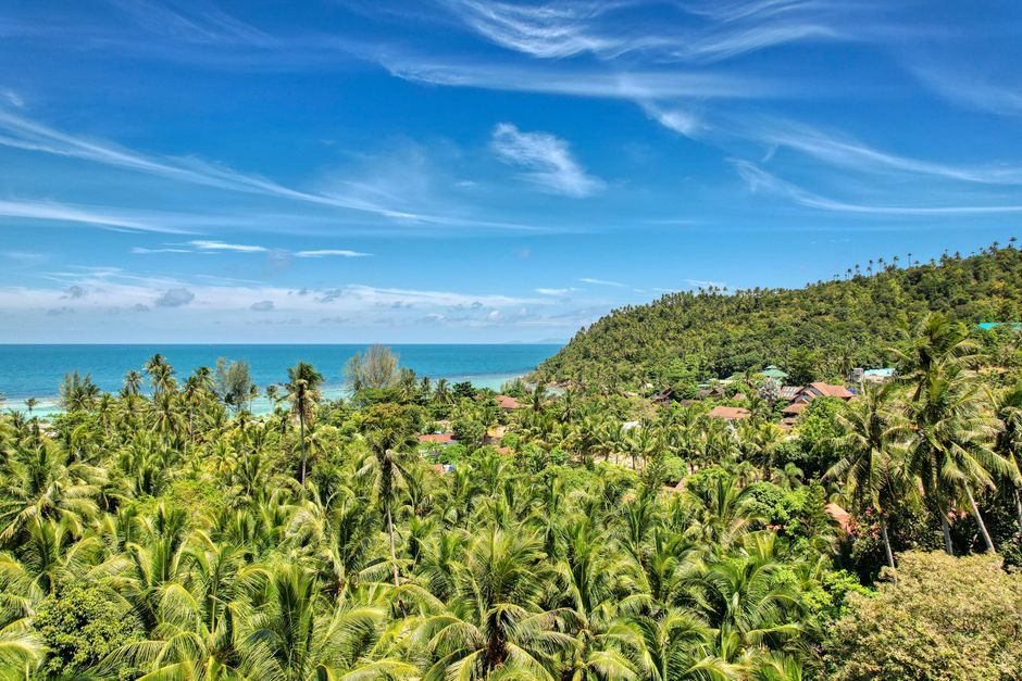 Thai resort beach palm trees sunny day nature Thailand