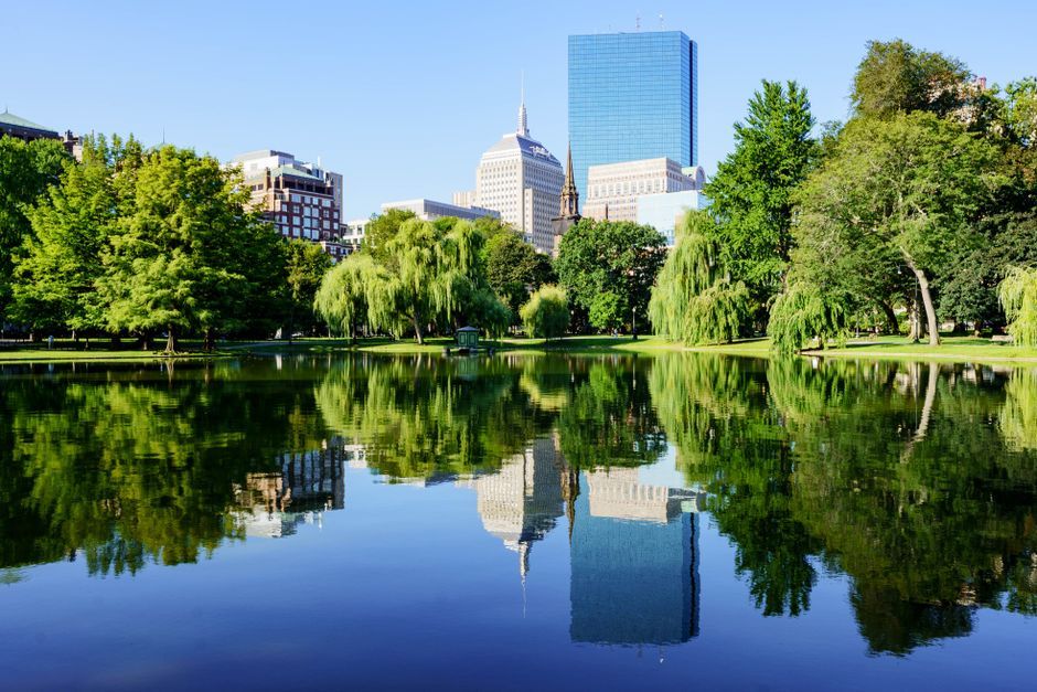 Boston city skyline summer