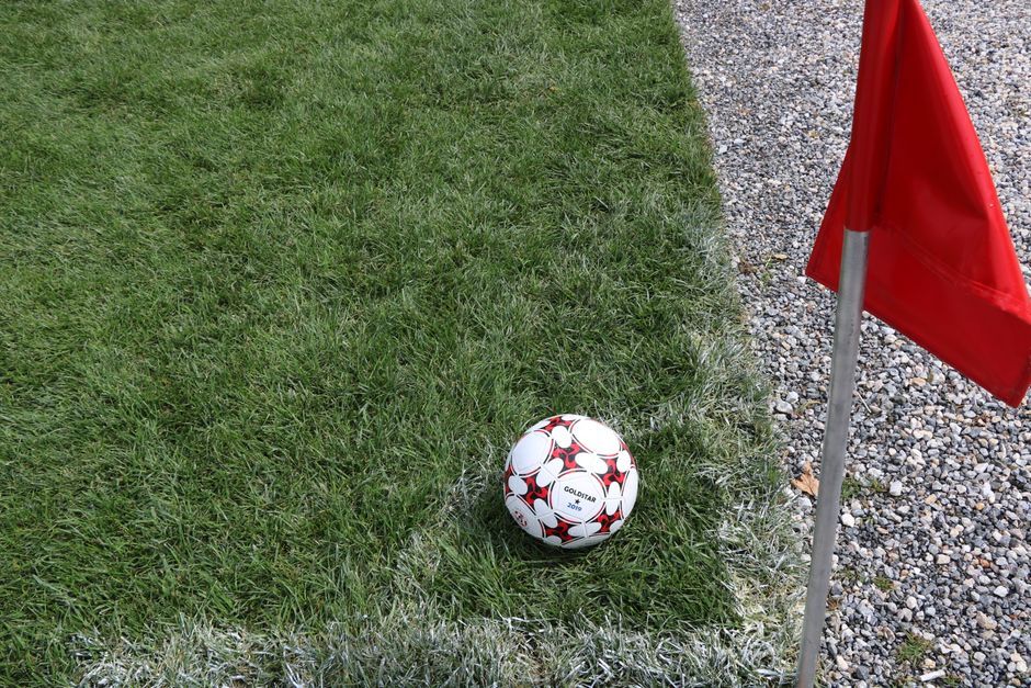 professional football training pitch South Korea