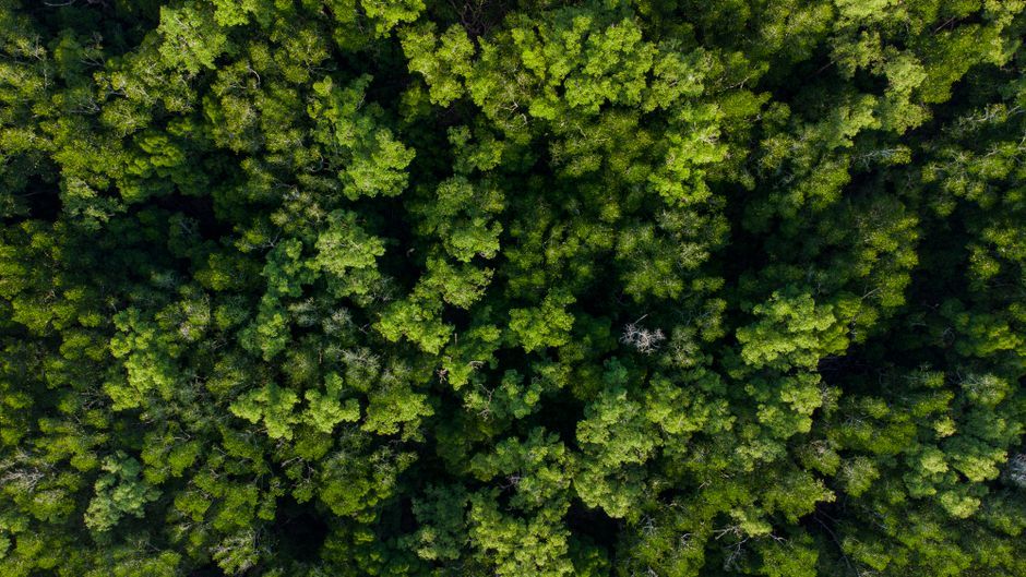 Thailand national park forest aerial view