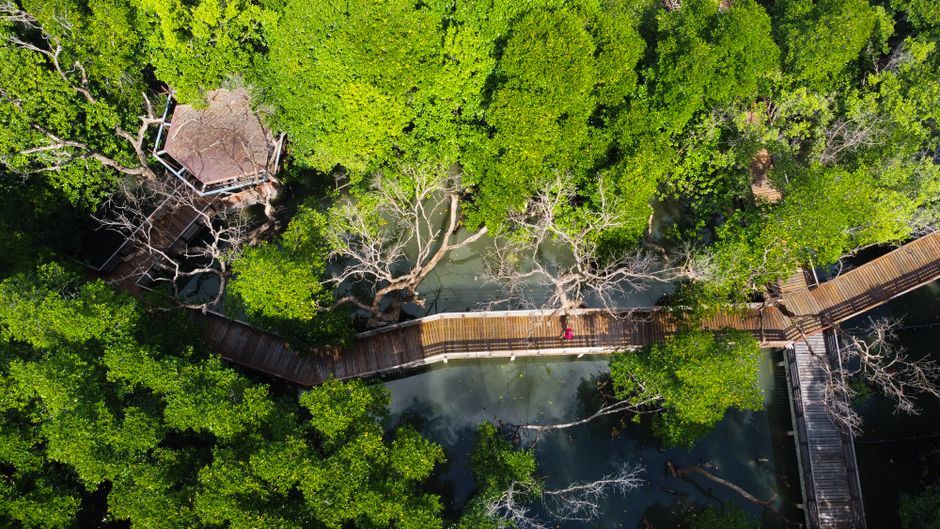 Thailand national park forest trail