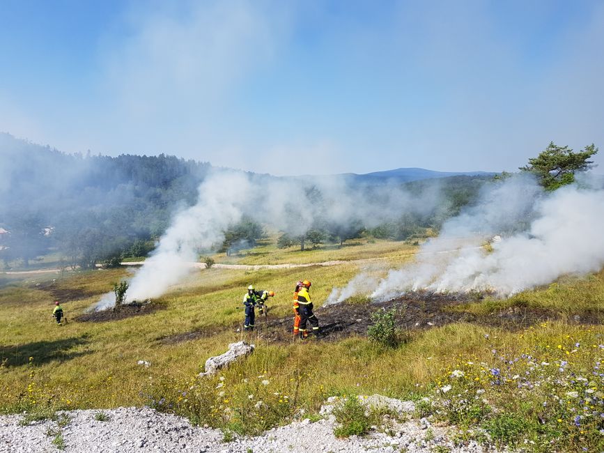 firefighters battling forest fire france