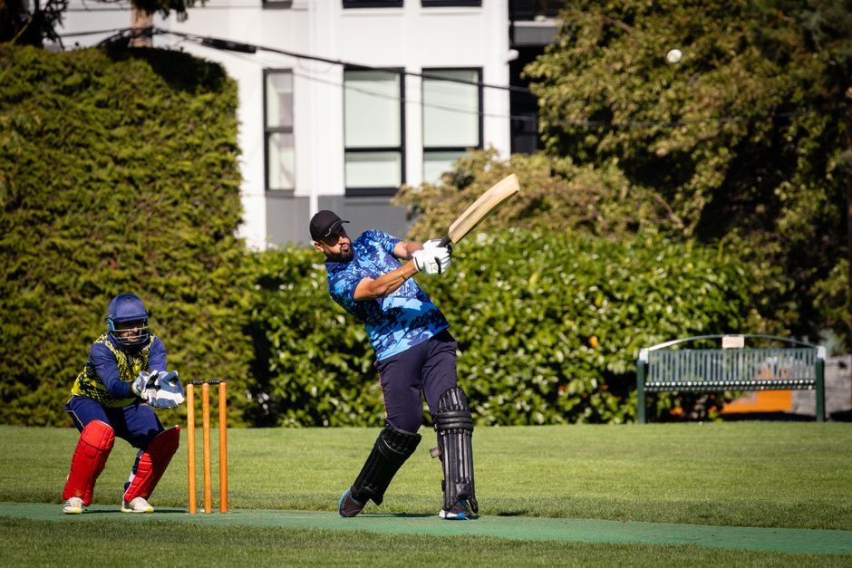 cricket bat ball pitch