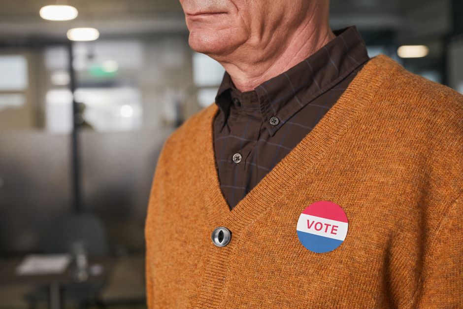 politician voting electronic system