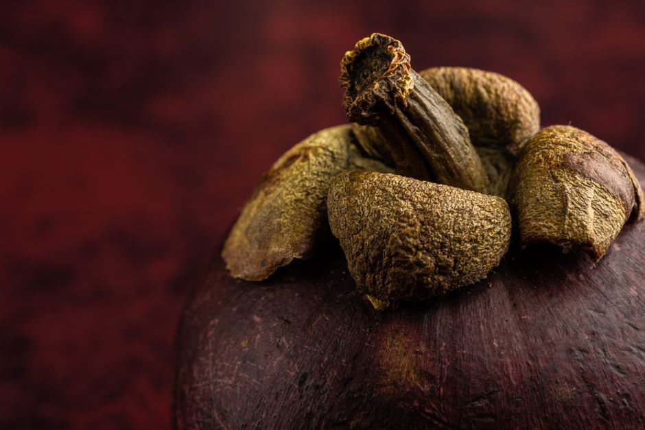 mangosteen skin and stem