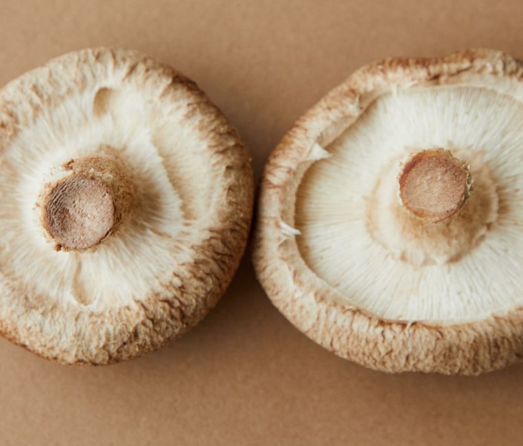 cleaning fresh shiitake mushroom kitchen Thailand