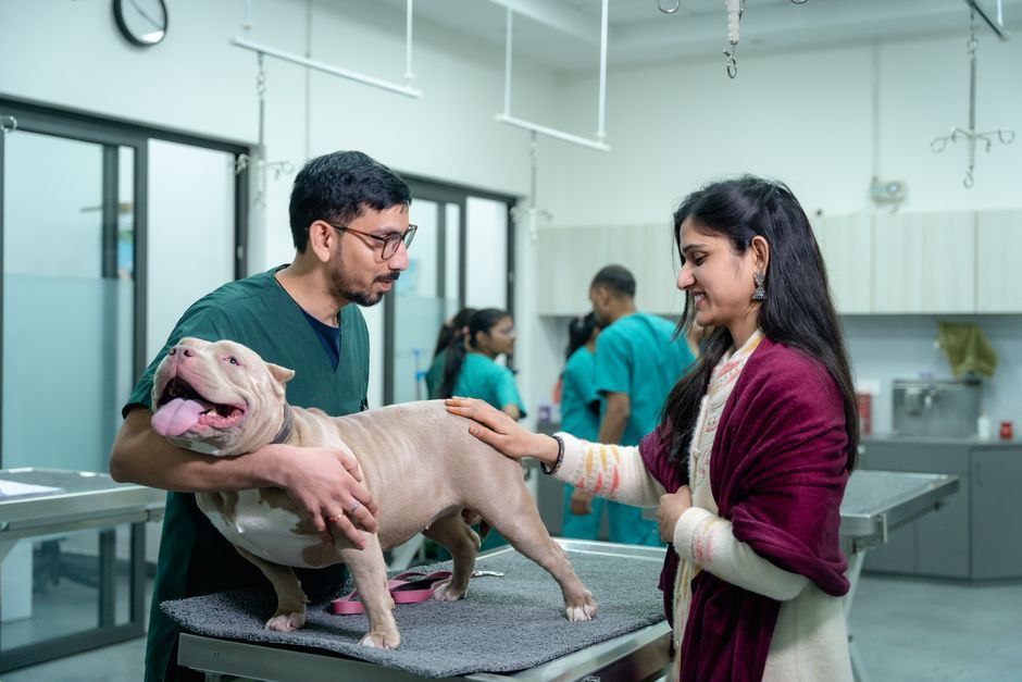veterinary clinic pet care USA