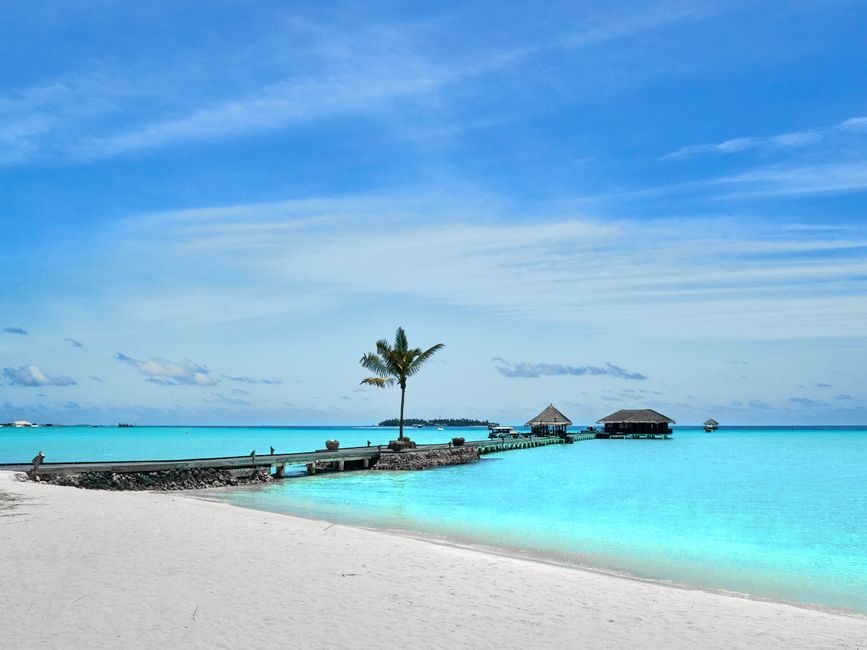 resort beach coast summer