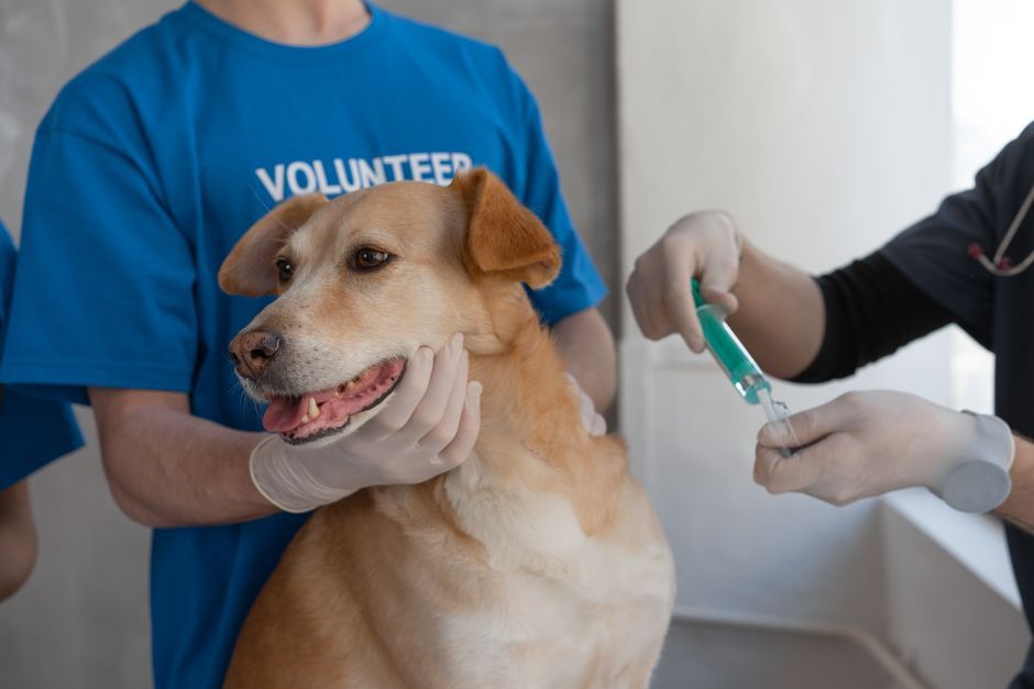 clinical trial volunteer medical injection