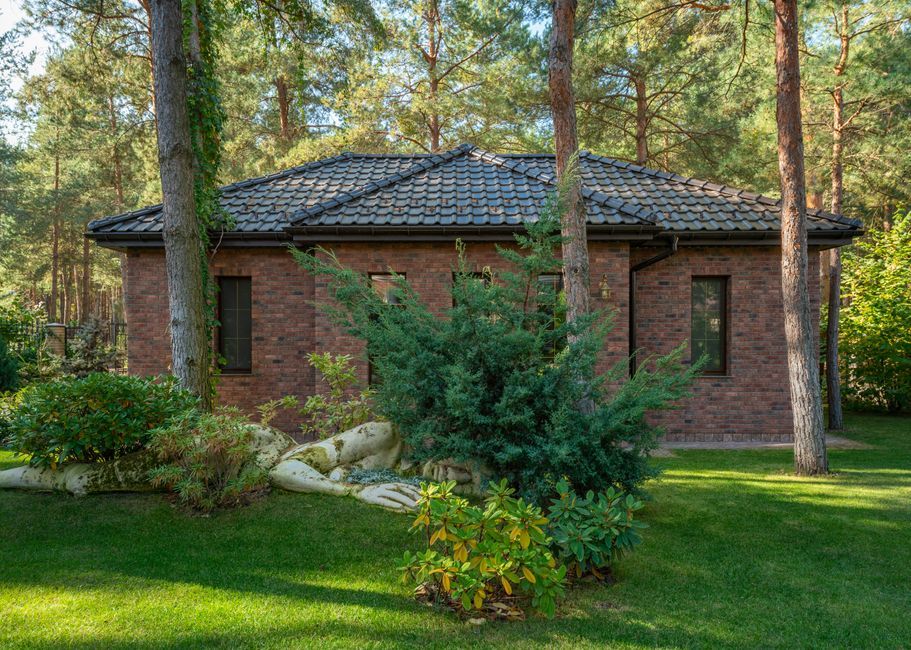 Poland pine forest house interior design