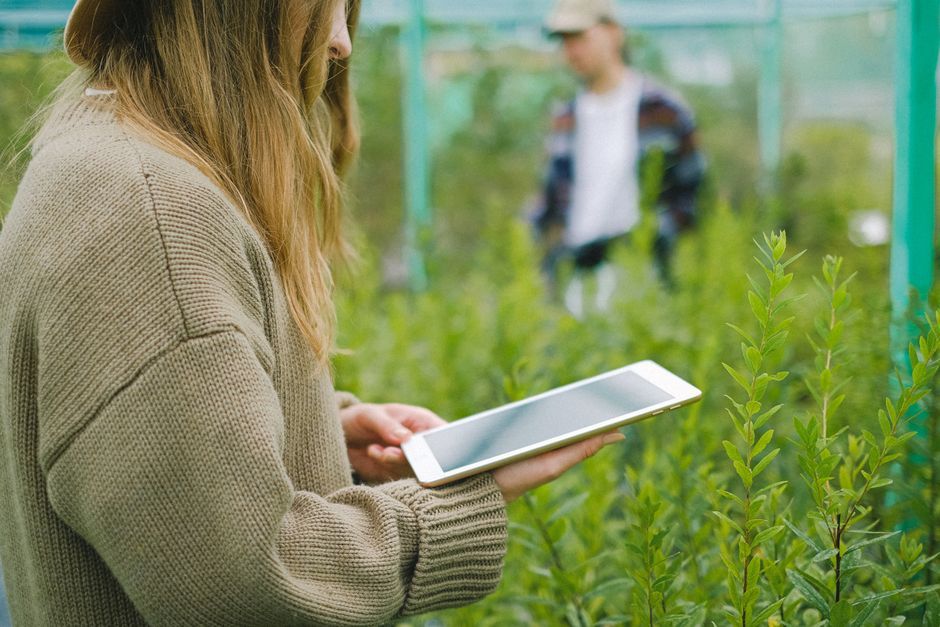 greenhouse plant monitoring sensor