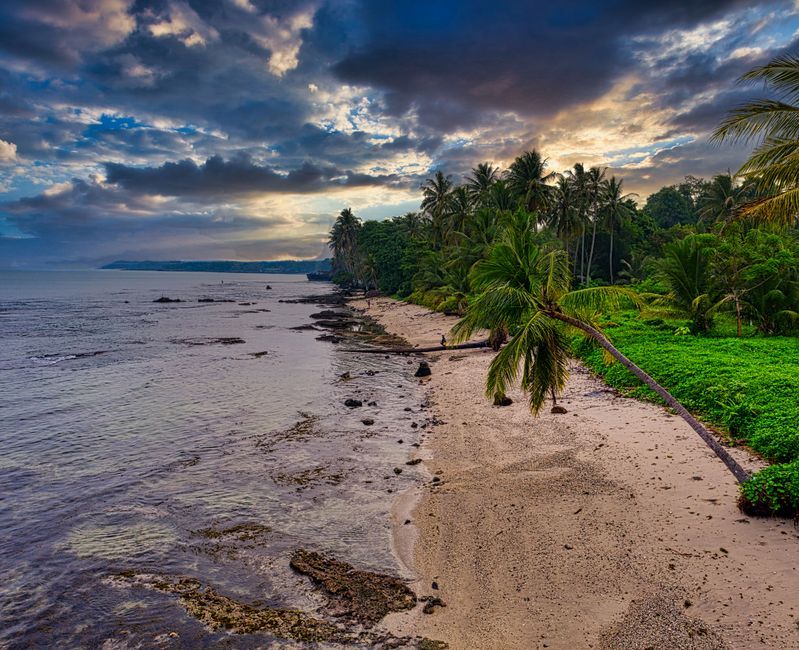 tropical jungle island Kiribati Pacific ocean coastline