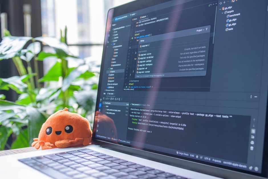 rust code editor software development