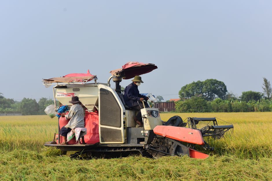 Thailand modern agricultural technology smart farm