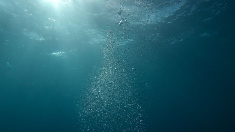 deep sea ocean blue water marine life