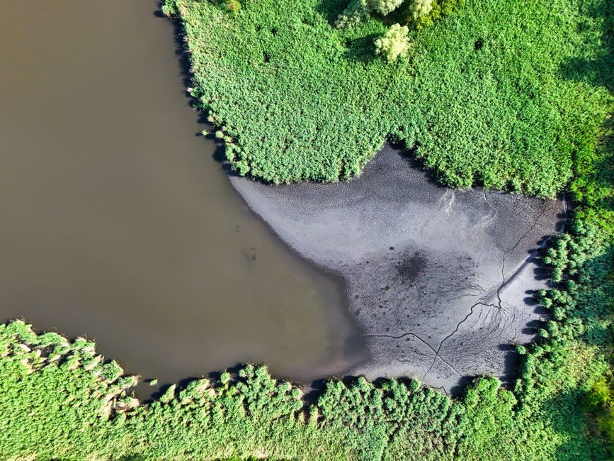 Northern Ireland wetland nature reserve aerial view