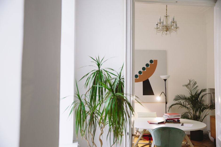 modern interior design calming living space