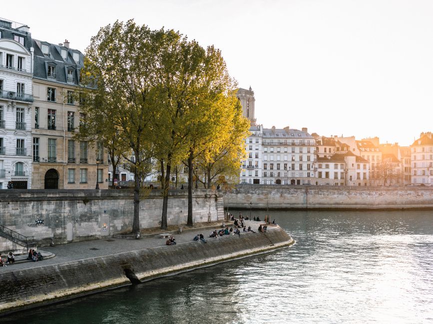 Paris fashion show runway water trees installation