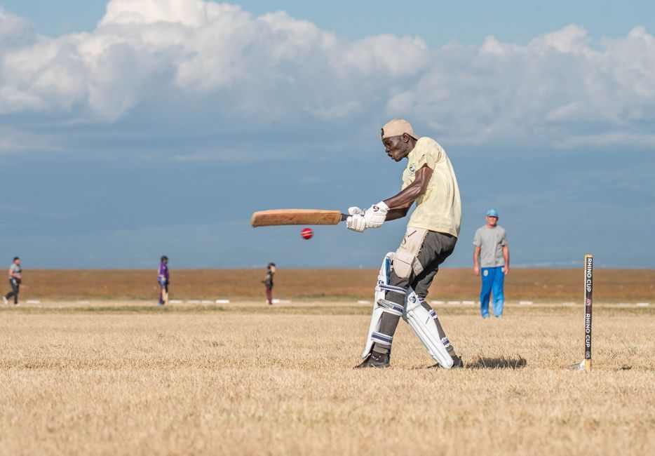 cricket bat ball pitch