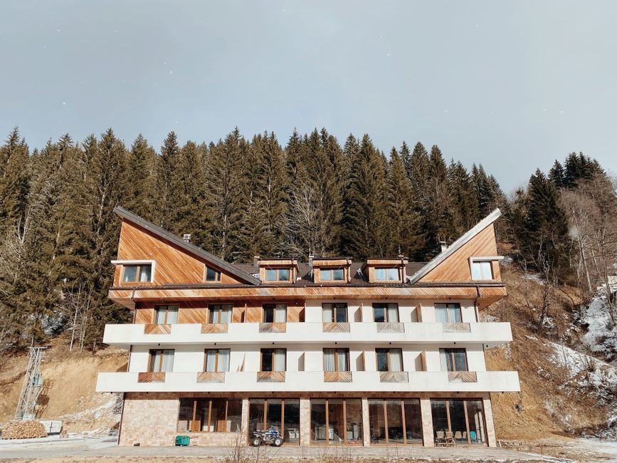 modern wooden architecture forest