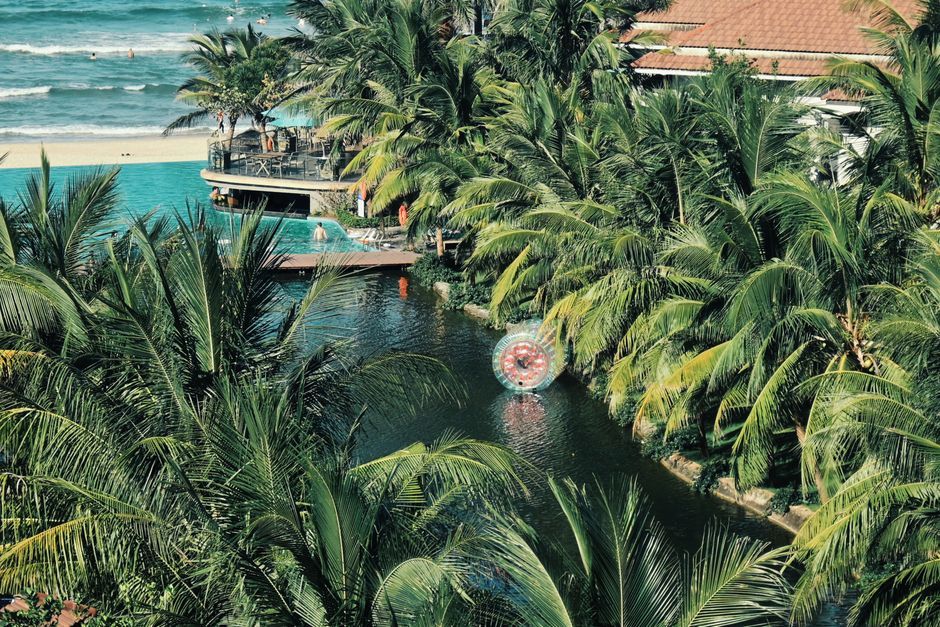 luxury beach resort palm trees vacation