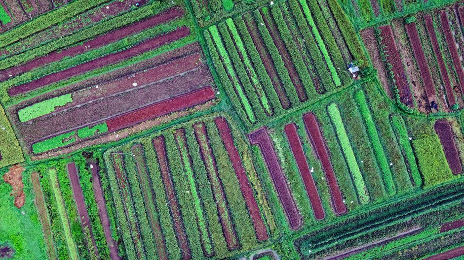 satellite building footprint extraction segmentation