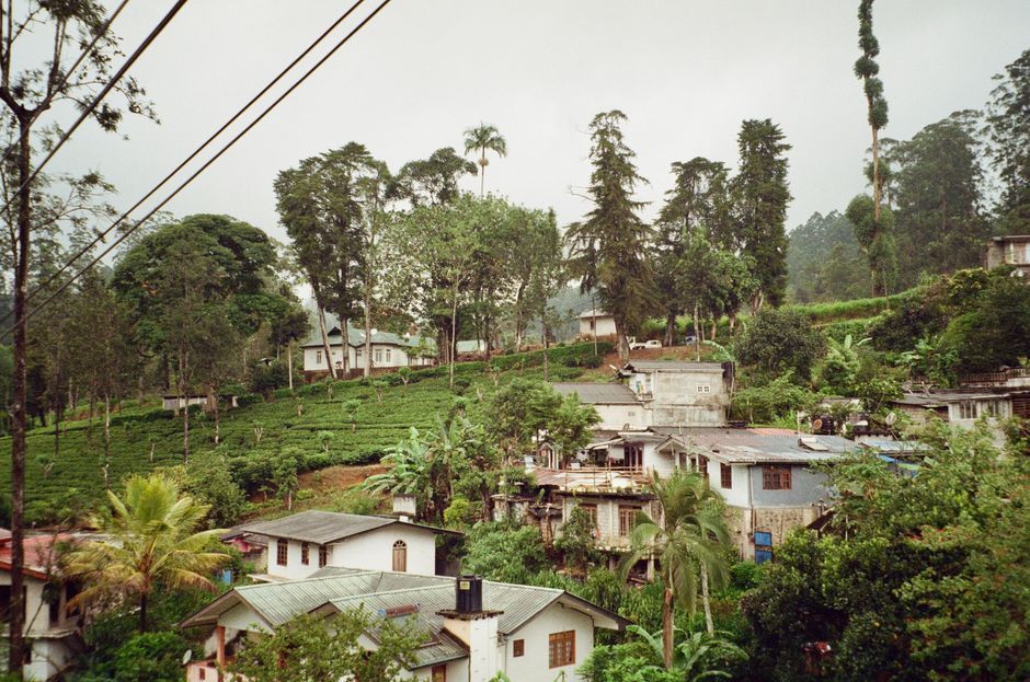 Sri Lanka tropical garden landscape exterior