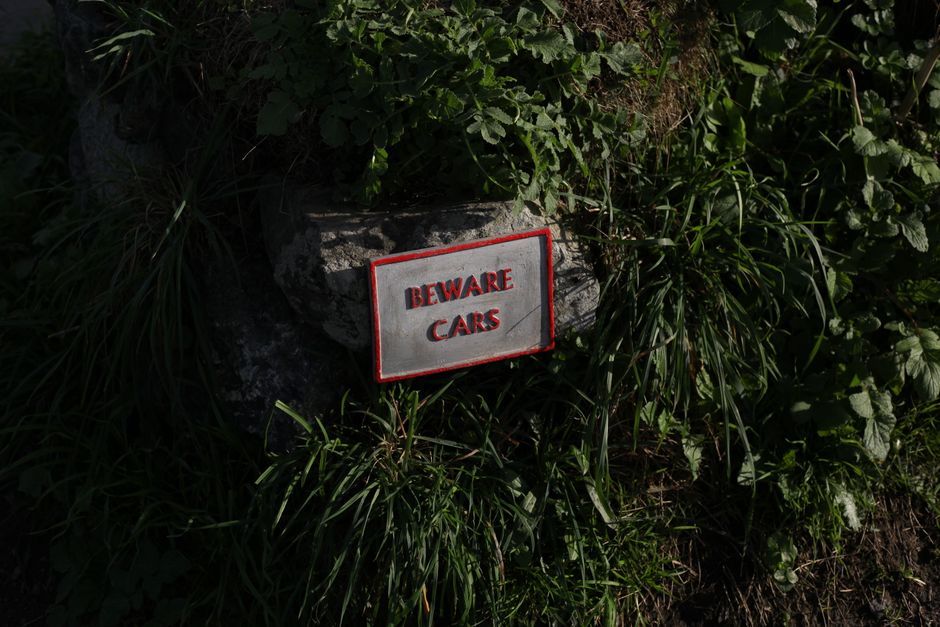 giant hogweed plant warning sign