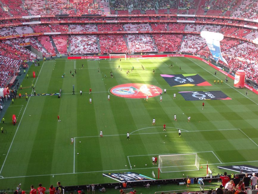 soccer match stadium grass pitch