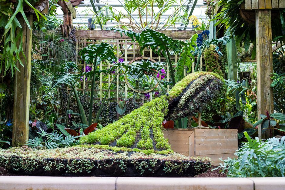 Georgia botanical greenhouse interior design