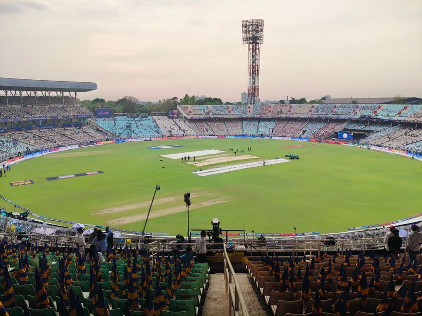 cricket match stadium green grass pitch