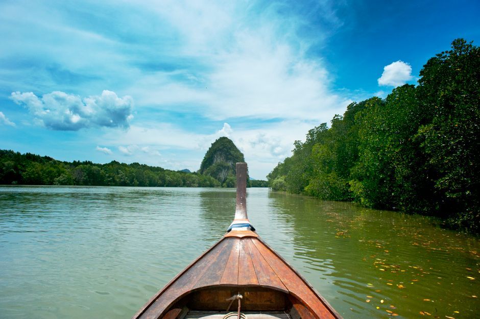 Thailand mangrove river kayak ecotourism nature