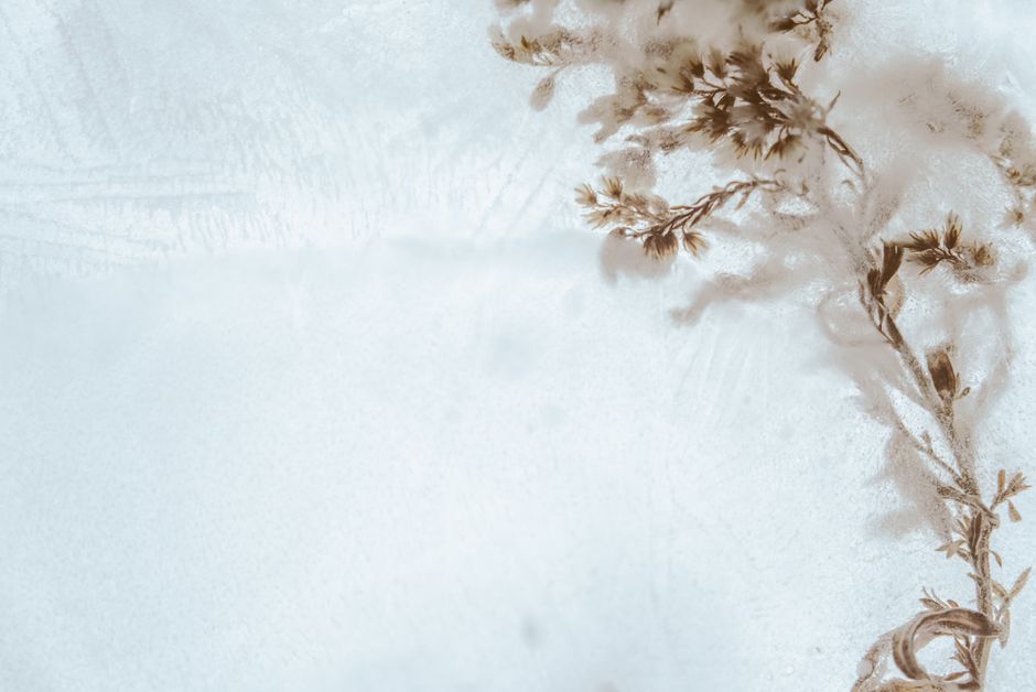 handcrafted crystal glass sculpture botanical design