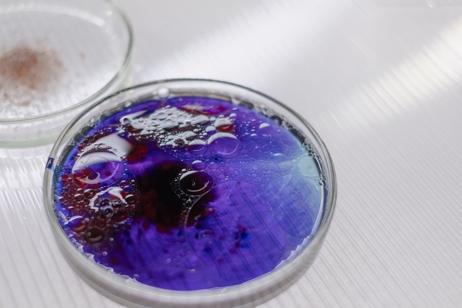 petri dish laboratory science experiment