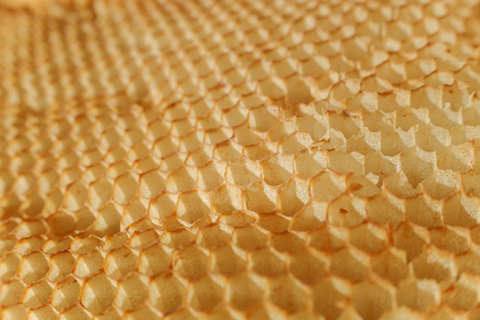paper honeycomb structure interior design