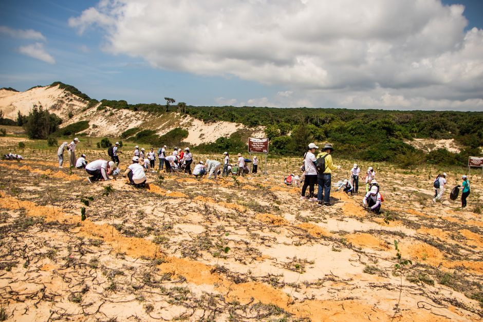 thai community tree planting forest