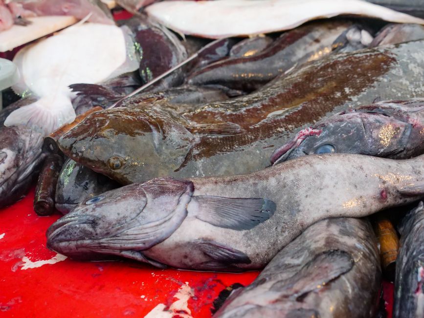 raw freshwater fish market
