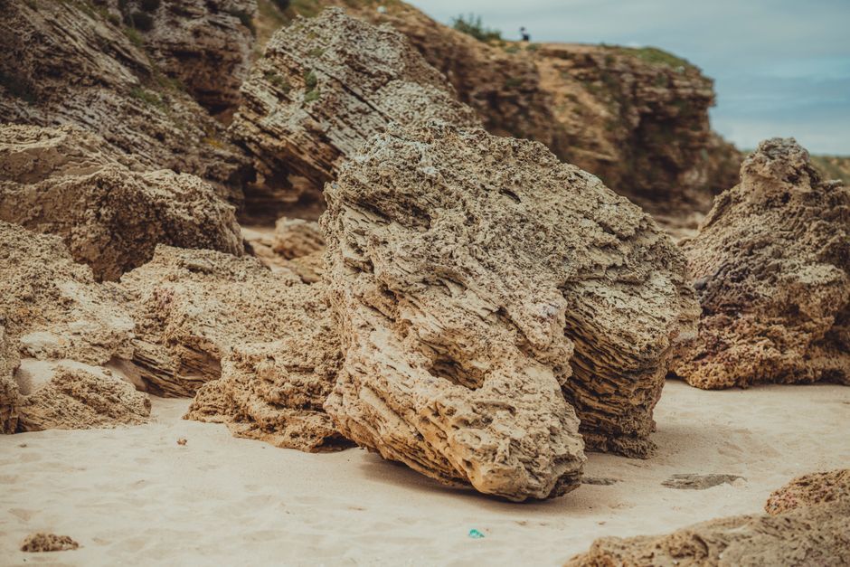 fossil hunter beach rocks coastline