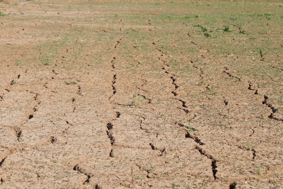 parched farmland cracked soil drought