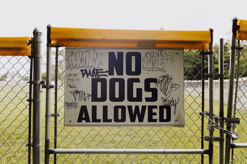 festival sign warning rule park outdoor