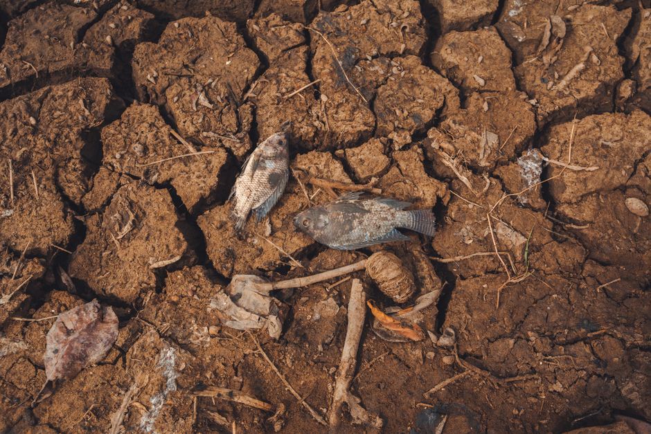 dried up riverbed UK drought heatwave