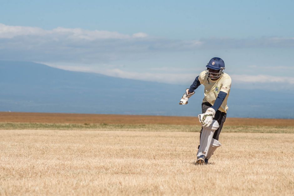 cricket stadium action