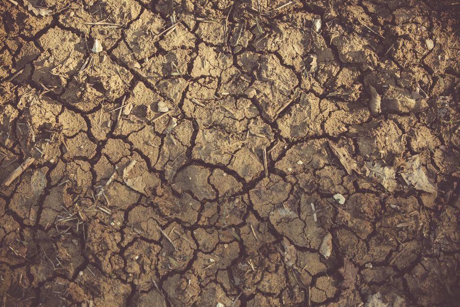 UK drought dry landscape