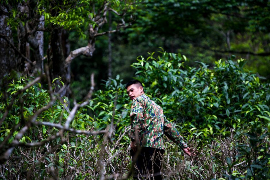 Thailand wildlife ranger patrol forest camera trap