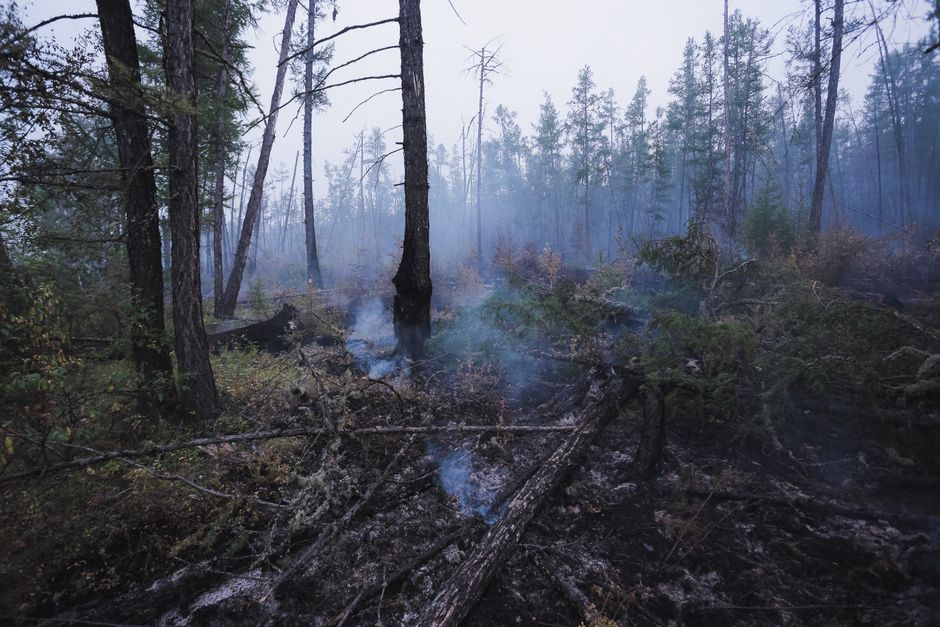 Canadian boreal forest wildfire smoke